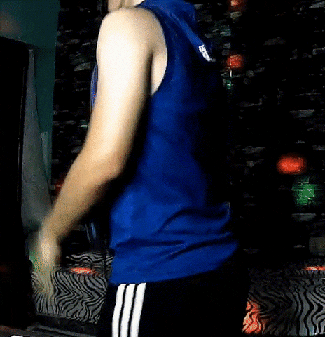 joss3m giphyupload twerk streamer youtuber GIF