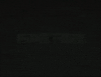 GIF by Martin