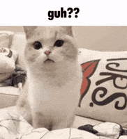 Guh GIF