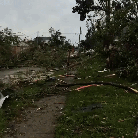 Jefferson City Resident Surveys Damage After Tornado