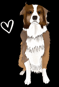 Dog Love GIF