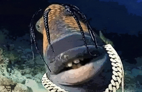 Travis Scott Fish GIF
