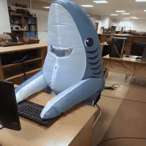 kripus shark