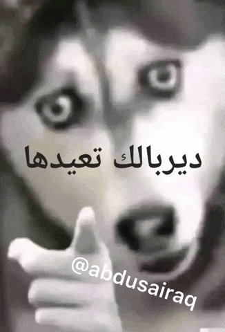 ميمز GIF