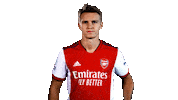 Celebrate London Sticker by Arsenal