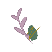 Flower Bloom Sticker by Anticlockwise