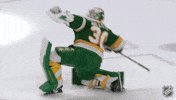 Happy Minnesota Wild GIF by NHL