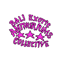 baliexoticanthuriums beac baliexoticanthuriums anthuriums Sticker