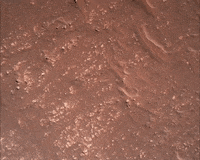 Mars Rover GIF by NASA