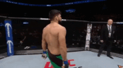 ufc 206 GIF