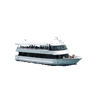 Bayside Marketplace Queen Sticker by IslandQueenCruises