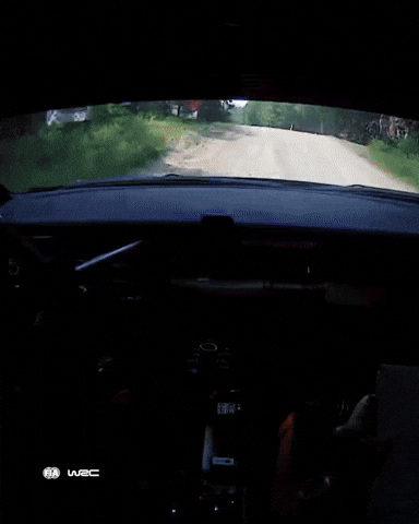Jumping Car Estonia GIF by FIA World Rally Championship