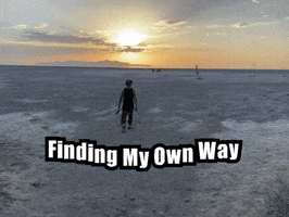 Lone Wolf I Do It My Way GIF by TahKole Bio Integration