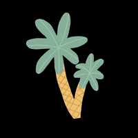 Vacation Vacay GIF