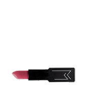 Makeup Matte Lipstick Sticker by PAC