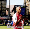 the king arsenal GIF