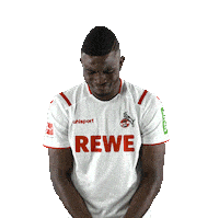 Fc Cologne Bundesliga Sticker by 1. FC Köln