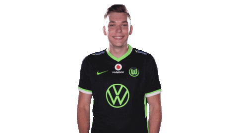 E Sports Sport Sticker by VfL Wolfsburg