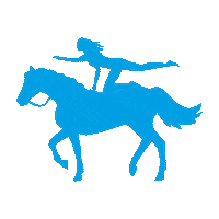 Horse Vaulting Sticker by CHIO Aachen