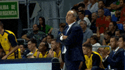 Liga Endesa Basketball GIF by ACB