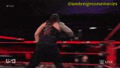 Believe That Roman Reigns GIF