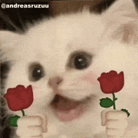 Cat Kawai GIF