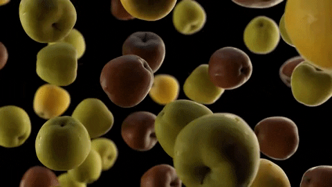 GIF by Lesaffre MECA