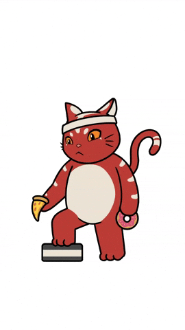 Cat Bulking GIF by Kitaro World