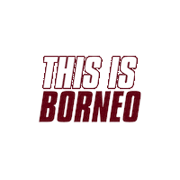 Borneo Fc Sticker by BORNEO FC SAMARINDA