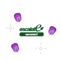 Corn Escalate Sticker by Beck's Hybrids