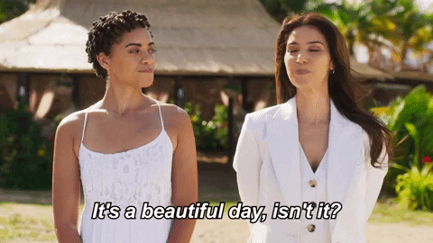 Fantasy Island GIF by Drama Club FOX
