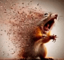 Squirrel Dust GIF