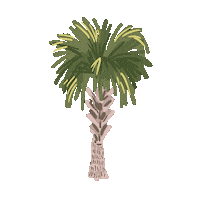 RachelBrei tree palm south carolina palm tree Sticker