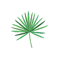 hairmax palmetto hairmax Sticker