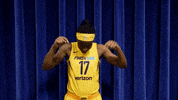 basketball sport GIF by Indiana Fever