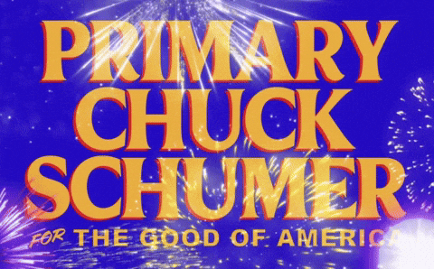 Chuck Schumer GIF by Respective