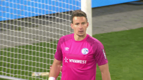 Football Sport GIF by FC Schalke 04