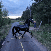 Bg Veo GIF by Aleksey Efremov