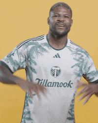 Mls Portland GIF by Timbers