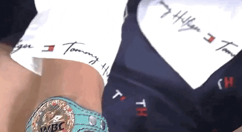 toprank giphyupload boxing fighting champion GIF