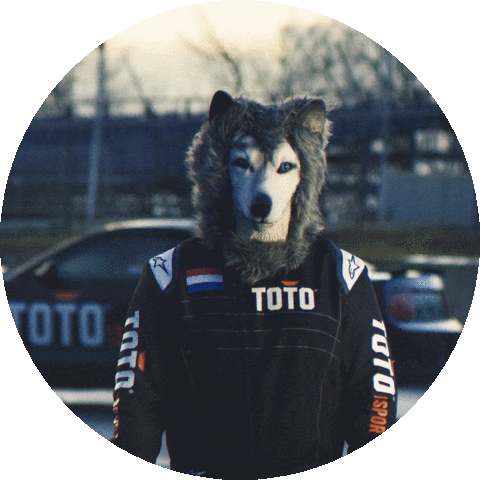 Formula 1 Sport Sticker by Toto