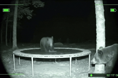 Ai Jumping GIF by Respective