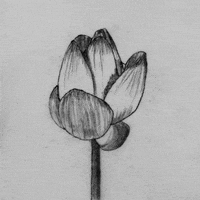 giuvisualart art animation loop black and white GIF