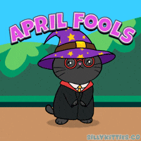 April Fools Cute Cat GIF by Silly Kitties