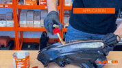 GIF by Blinker Professional Components