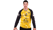 Celebration Handball Sticker by Team Chambé