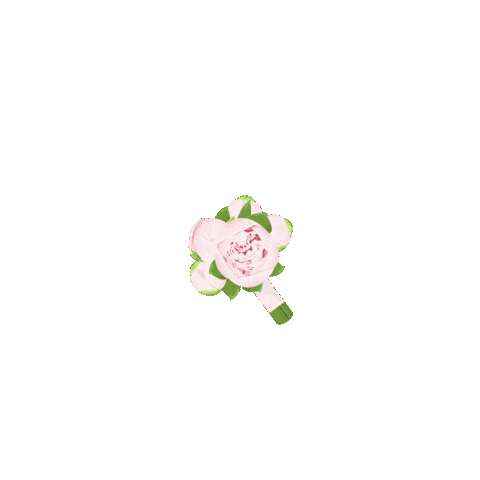azazieofficial giphyupload flower flower bouquet wedding bouquet Sticker