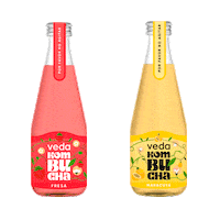 Kombuchadrink Sticker by vedakombucha