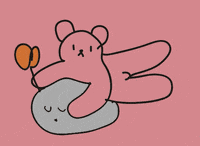 felipecastillogatica flor osito piedra GIF