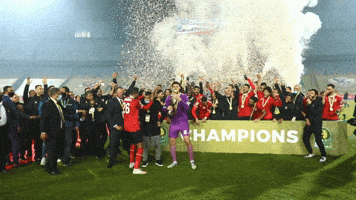 Al Ahly Football GIF by CAF